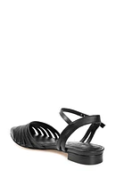 Dexie Strappy Pointed Toe Flat