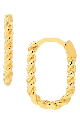 Oval Twist Hoop Earrings