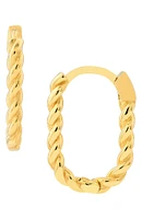Oval Twist Hoop Earrings