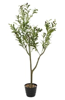 Green Faux Foliage Olive Artificial Tree with Black Melamine Pot