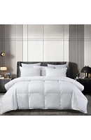 Beautyrest 300 Thread Count European All-Seasons Comforter
