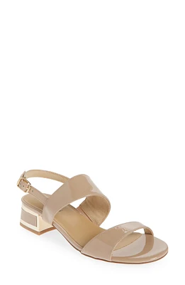 Hilary Sandal