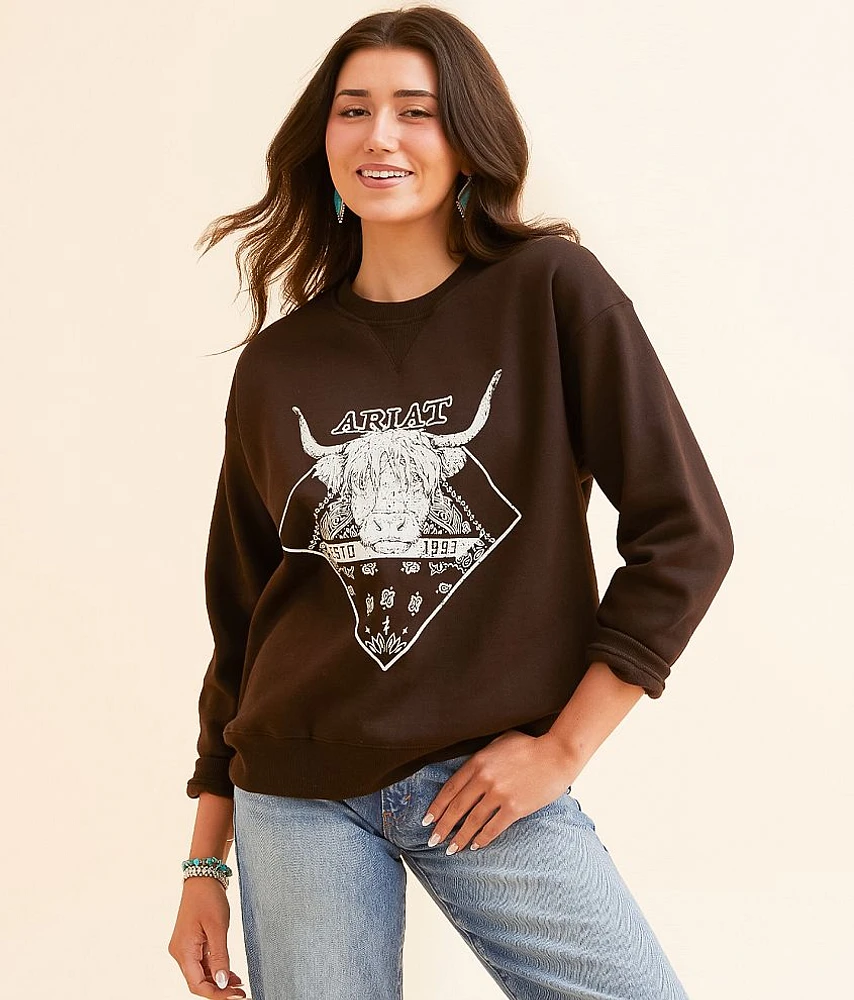 Taurus Oversized Pullover