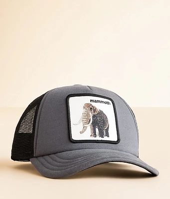 Boys - Goorin Bros. Fuzzy Trunk Trucker Hat