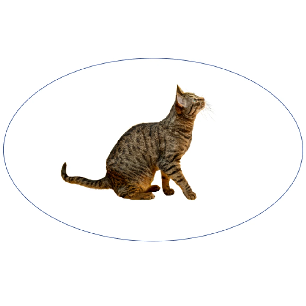 Oval Stickers
