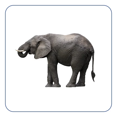 Rounded Corner Stickers