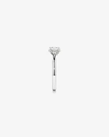 1.05 Carat TW Round Brilliant Diamond Solitaire Pave Hidden Halo Engagement Ring in Platinum