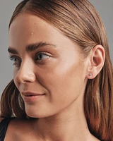 Carat TW Diamond Solitaire Stud Earrings in 18kt Gold