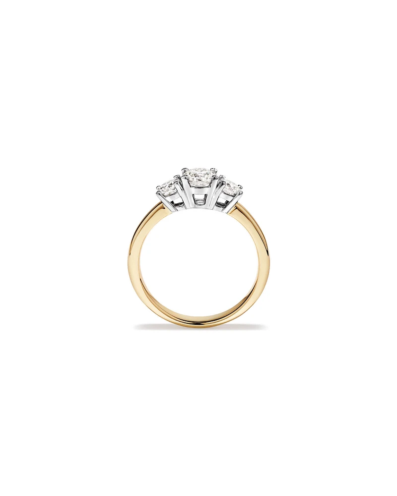 1.00 Carat TW 3 Stone Signature 101 Diamond Ring in 14kt White Gold