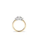 1.00 Carat TW 3 Stone Signature 101 Diamond Ring in 14kt White Gold