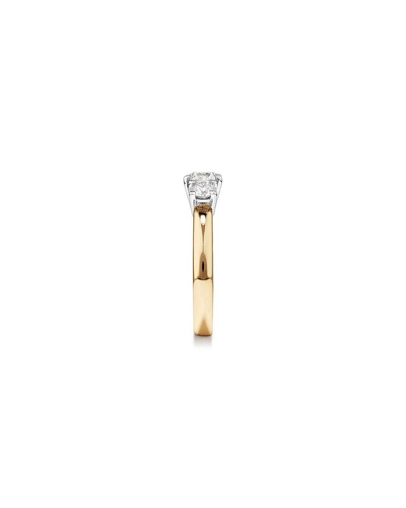 1.00 Carat TW Three Stone Round Brilliant Diamond Engagement Ring in 14kt Yellow and White Gold