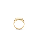 Men's Signet Ring in 10kt Yellow Gold