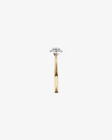 0.10 Carat TW Round Cluster Diamond Promise Ring in 10kt Yellow and White Gold