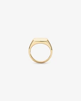 Men's Signet Ring in 10kt Yellow Gold