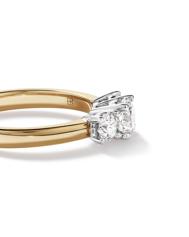 1.00 Carat TW 3 Stone Signature 101 Diamond Ring in 14kt White Gold