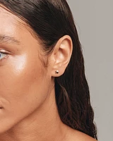 Star Stud Earrings in 10kt Yellow Gold