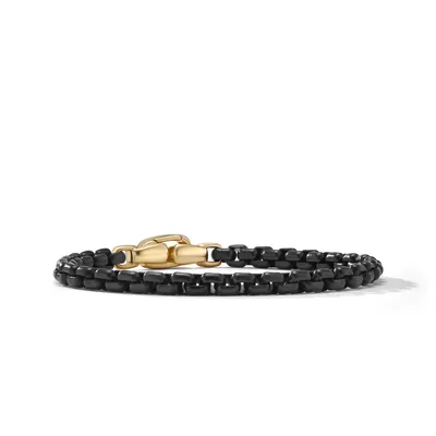 Box Chain Bracelet in Stainless Steel with 14K Yellow Gold