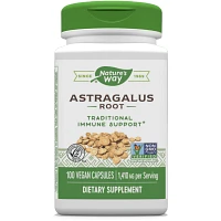 Astragalus Root (100 caps)