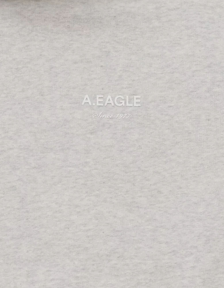 AE Laidback Luxe Heavyweight Logo Hoodie