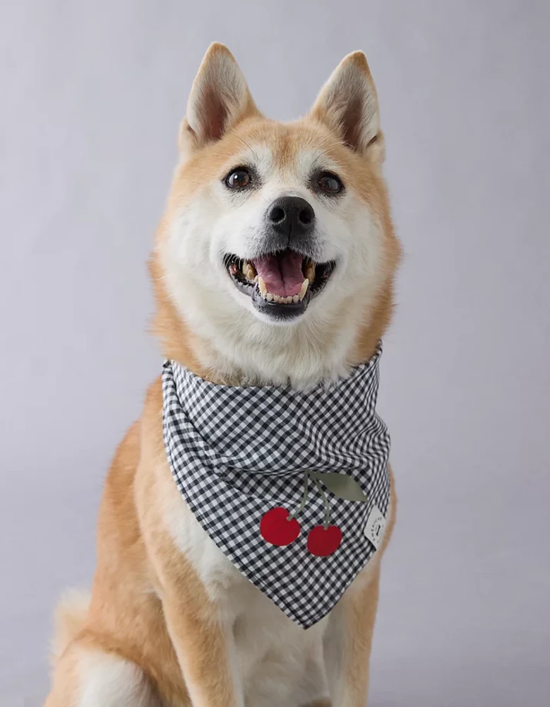 ABO Gingham Cherry Dog Bandana