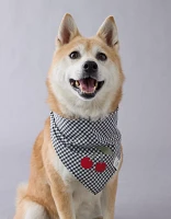 ABO Gingham Cherry Dog Bandana