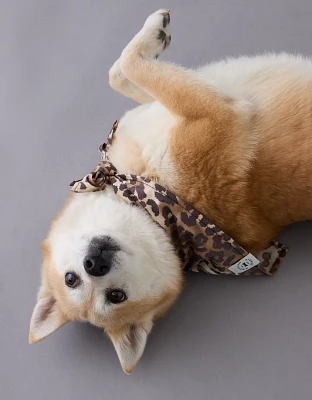 ABO Leopard Dog Bandana