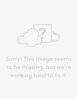 AEO Men's Sparrows 4.5" Classic Boxer Brief