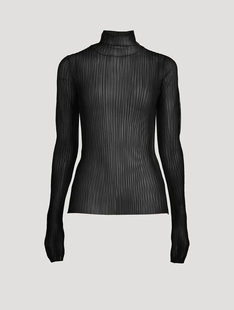 Sheer Turtleneck