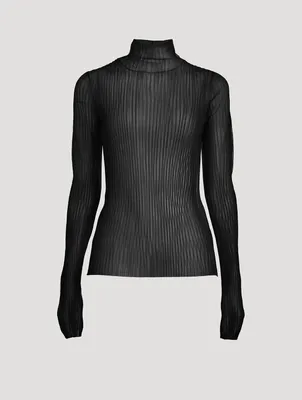 Sheer Turtleneck