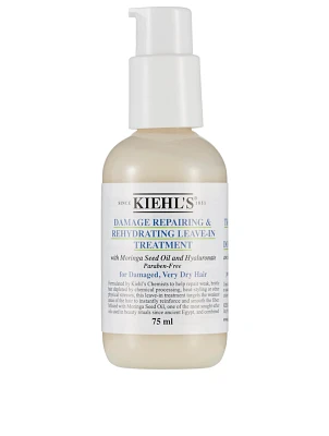 Damage Repairing & Rehydrating Leave-In Treatment