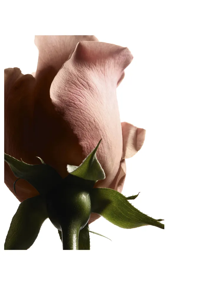 L'Homme Ultime Eau de Parfum