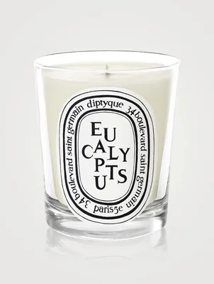 Eucalyptus Scented Candle