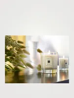 Wood Sage & Sea Salt Scented Candle