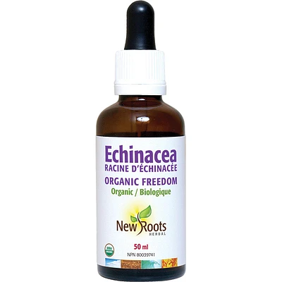 Echinacea