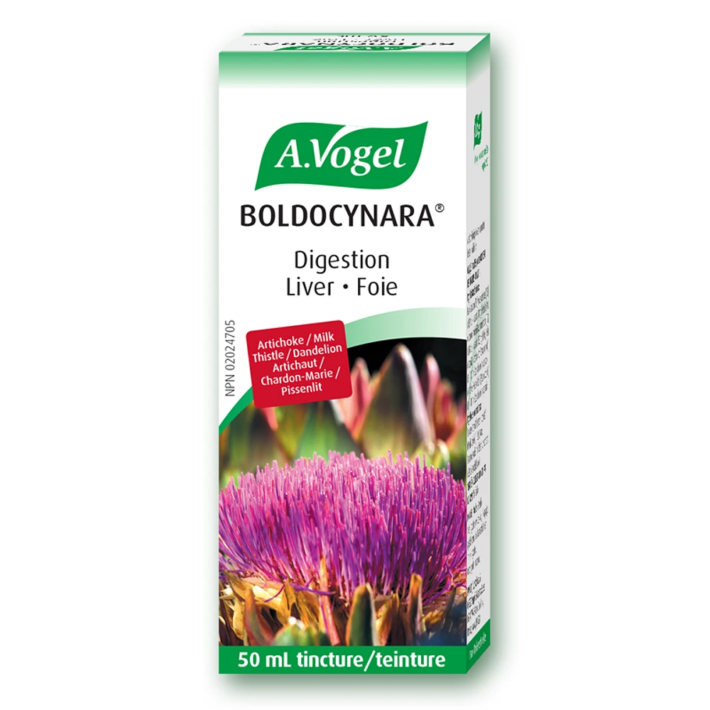 Boldocynara
