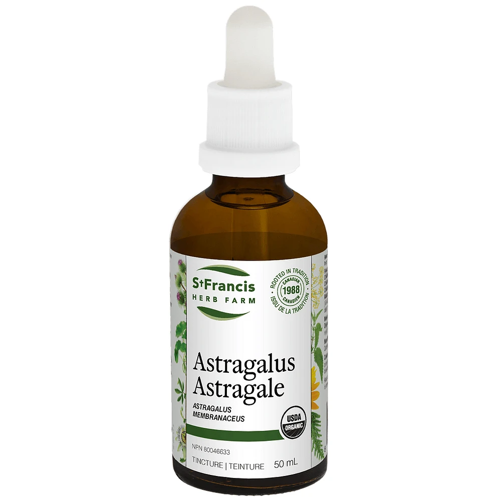 Astragalus
