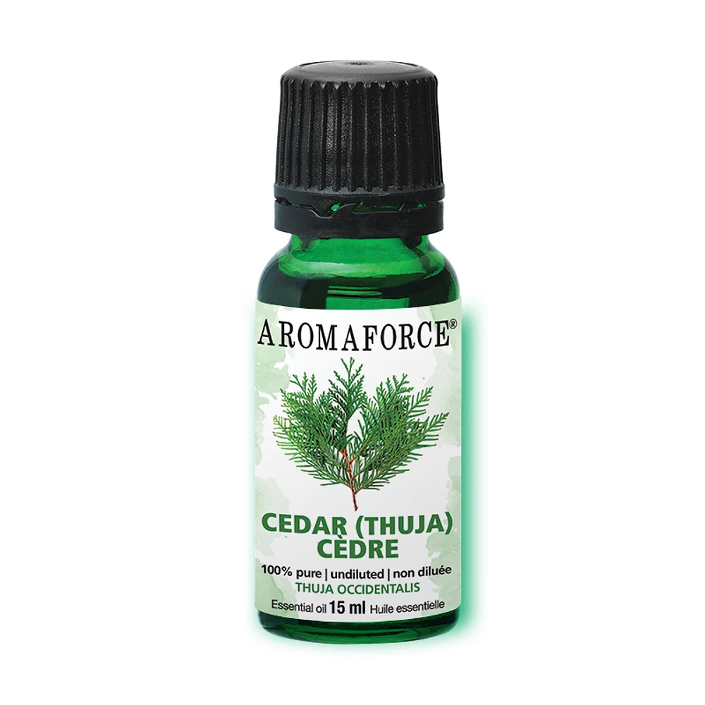 Cedar Essential Oil