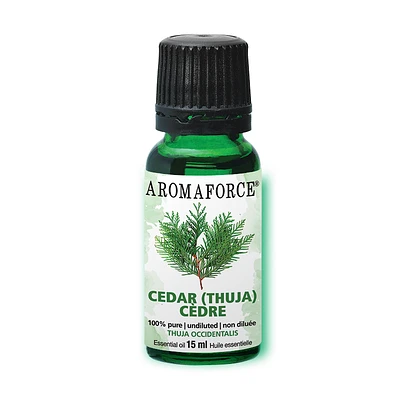 Cedar Essential Oil