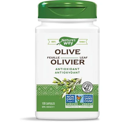 Olive Leaf