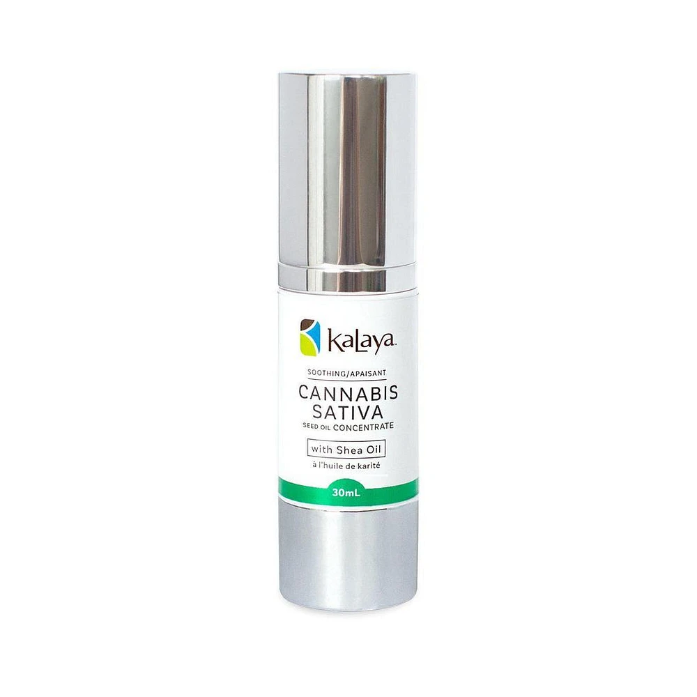 Cannabis Sativa Seed Oil Concentrate