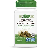 Wild Yam