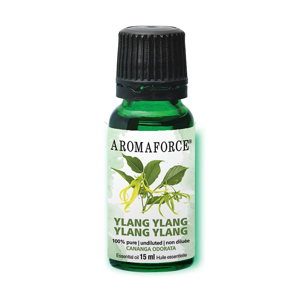 Ylang Ylang Essential Oil