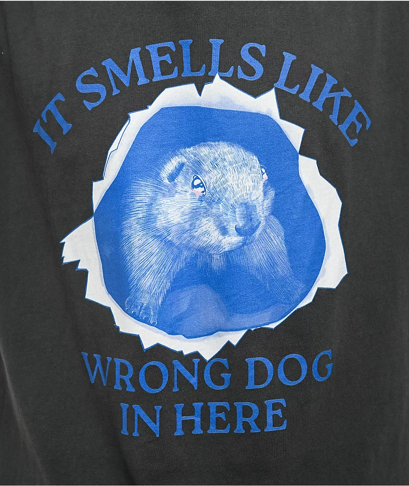 A.LAB Wrong Dog Washed Black T-Shirt