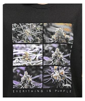 Cookies New Windows Black T-Shirt