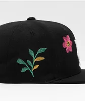 DGK Growth Black Snapback Hat