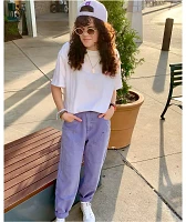 Empyre Colby Double Knee Lavender Wash Skate Pants
