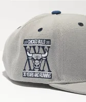 Mitchell & Ness x NBA Chicago Bulls District Grey & Navy Blue Snapback Hat