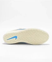 Nike SB Force 58 White & Baby Blue Skate Shoes
