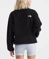 The North Face Fleeski Black Half Zip Sweatshirt