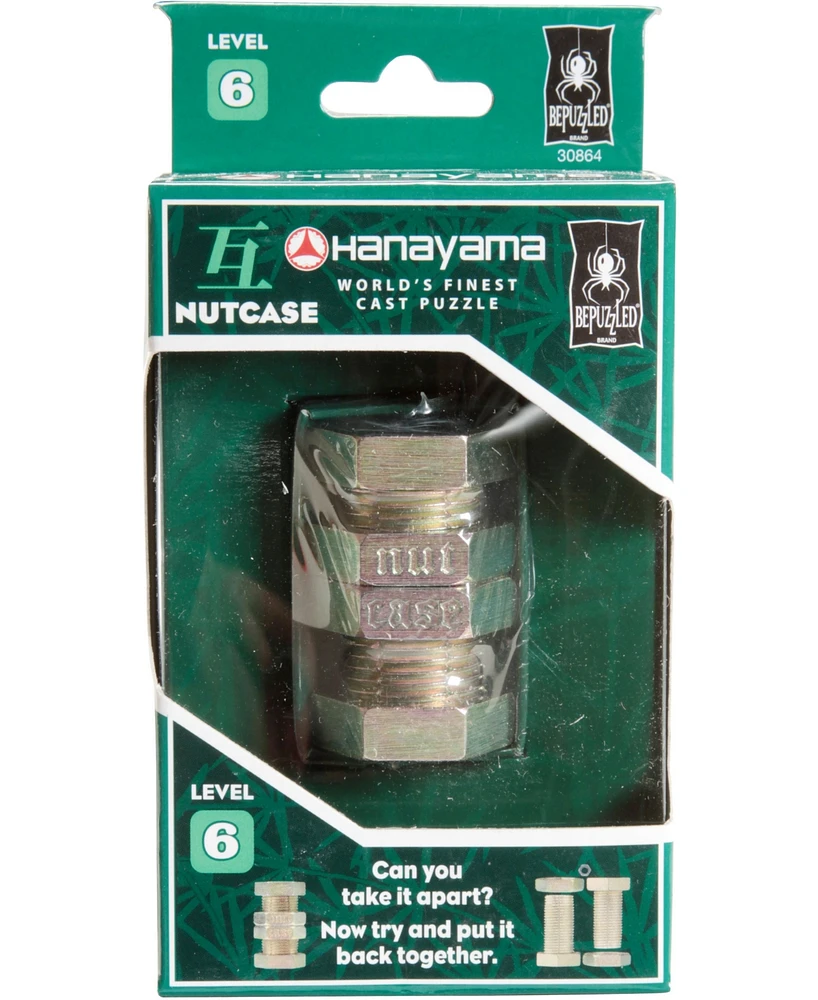 Hanayama Level 6 Cast Puzzle